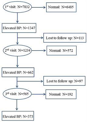 Hypertension Prevalence Based on Three Separate Visits and Its Association With Obesity Among Chinese Children and Adolescents